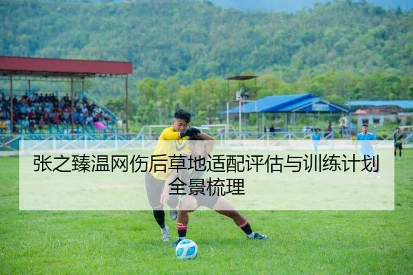 张之臻温网伤后草地适配评估与训练计划全景梳理